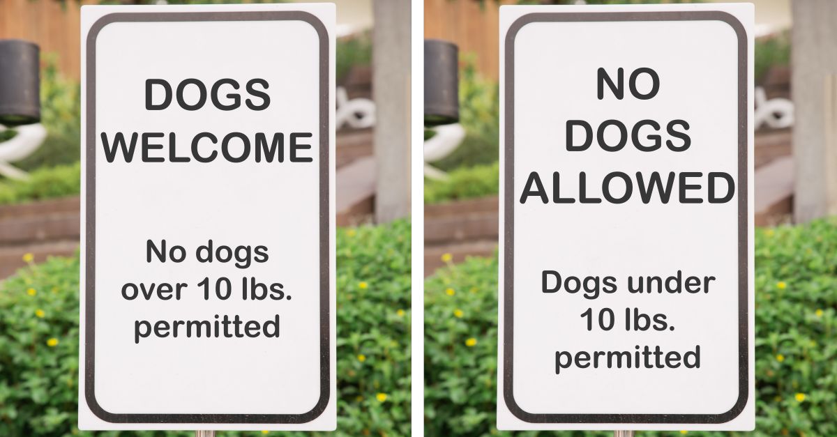 Signs detailing whether or not dogs are allowed in a park.